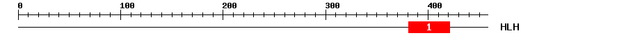 Signature Domain