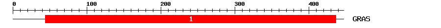Signature Domain