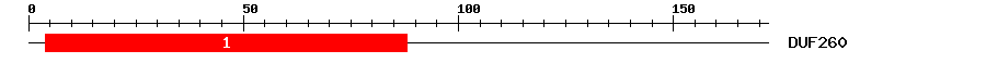 Signature Domain