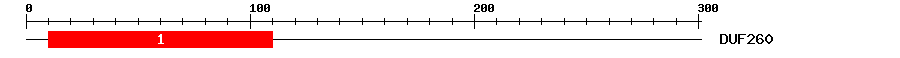 Signature Domain