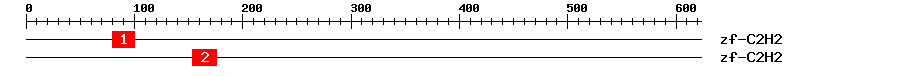 Signature Domain