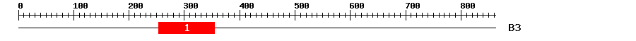 Signature Domain