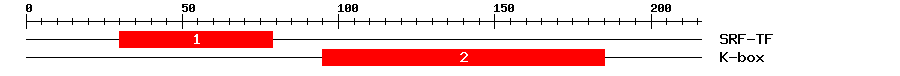 Signature Domain