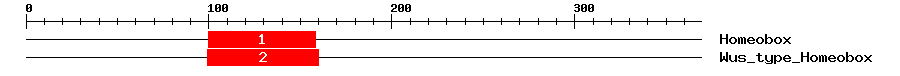 Signature Domain