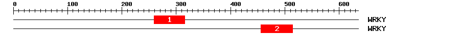 Signature Domain