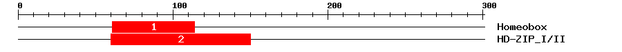 Signature Domain