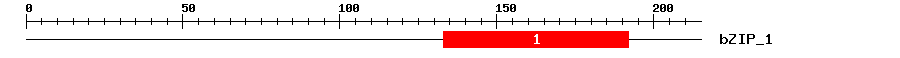 Signature Domain