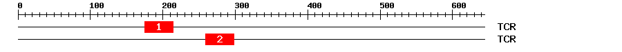 Signature Domain