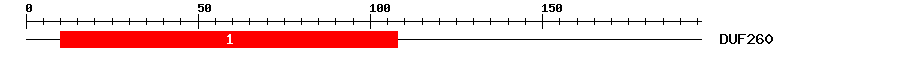 Signature Domain