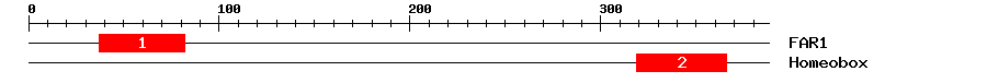 Signature Domain