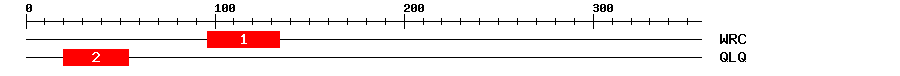 Signature Domain