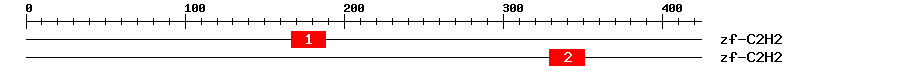 Signature Domain
