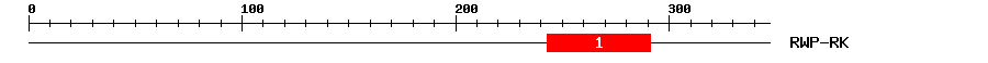 Signature Domain