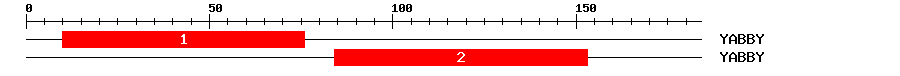 Signature Domain