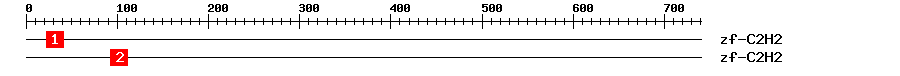 Signature Domain