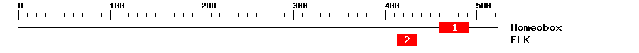 Signature Domain