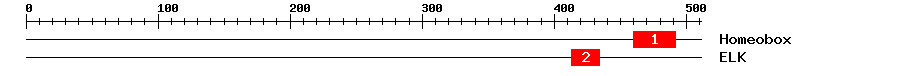 Signature Domain