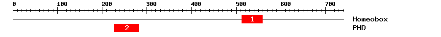 Signature Domain