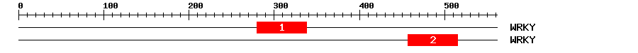 Signature Domain