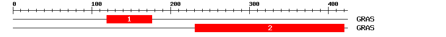 Signature Domain