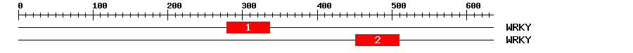 Signature Domain