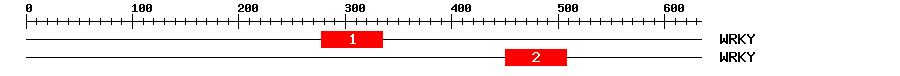 Signature Domain