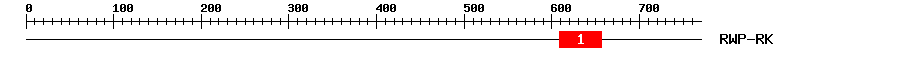 Signature Domain