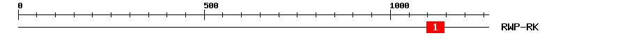 Signature Domain