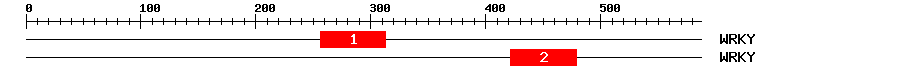 Signature Domain