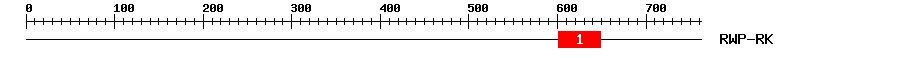 Signature Domain