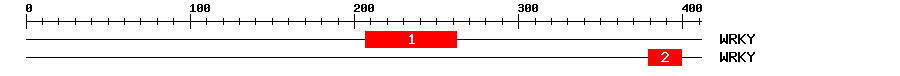 Signature Domain