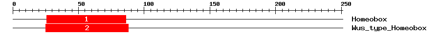 Signature Domain