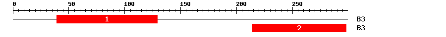 Signature Domain