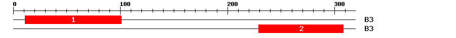 Signature Domain