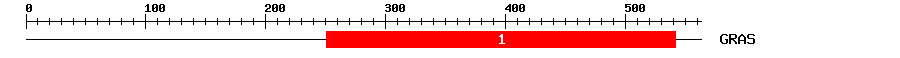 Signature Domain