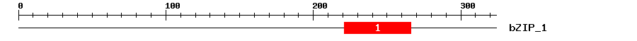 Signature Domain