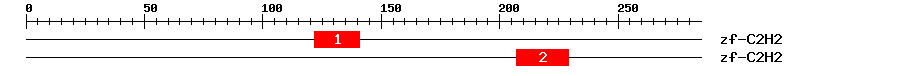 Signature Domain
