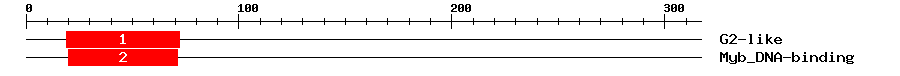 Signature Domain
