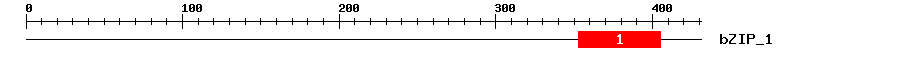 Signature Domain
