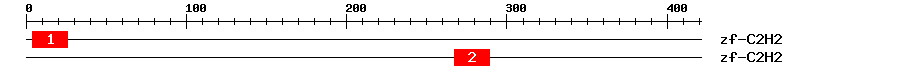 Signature Domain