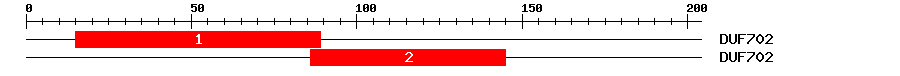 Signature Domain