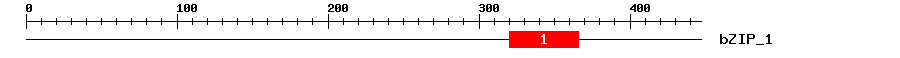 Signature Domain