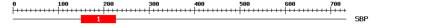 Signature Domain