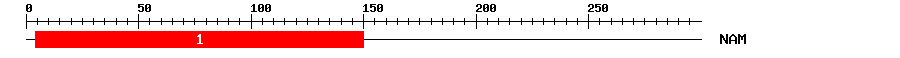 Signature Domain