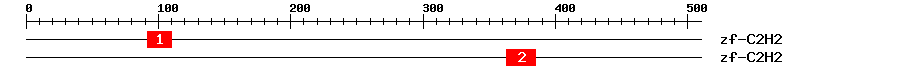 Signature Domain