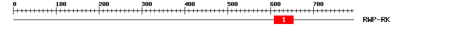 Signature Domain
