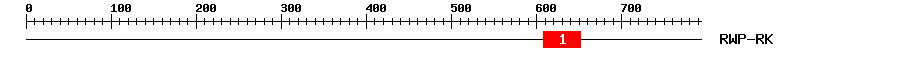 Signature Domain