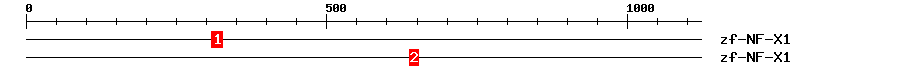 Signature Domain