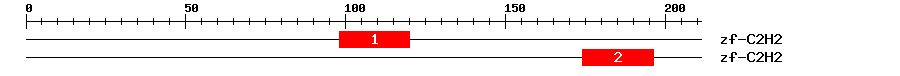 Signature Domain