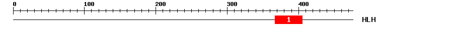 Signature Domain